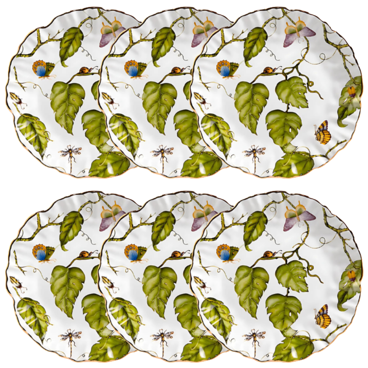 Prato de Sobremesa - Botanique - 20cm