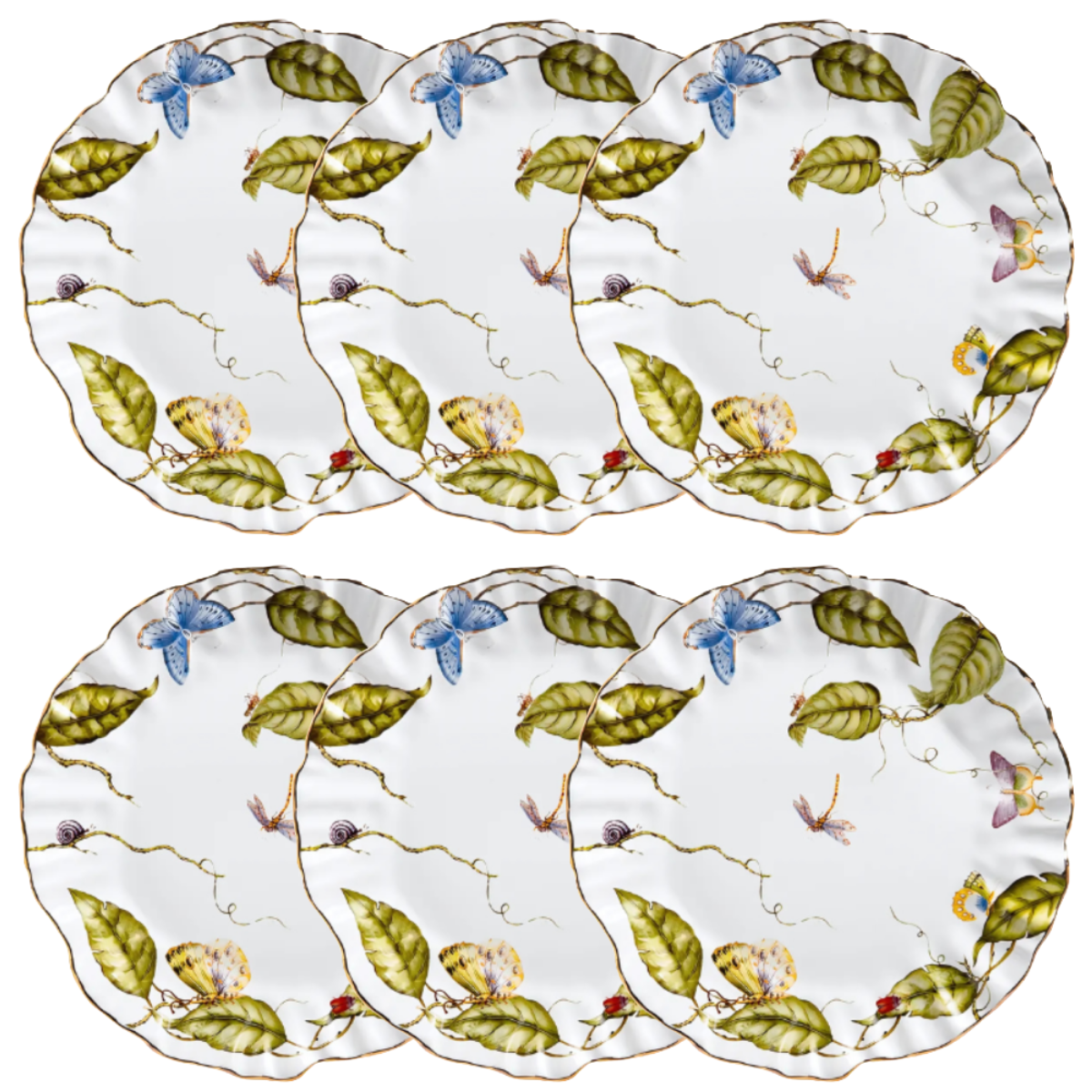 Prato Raso - Botanique - 27,5cm