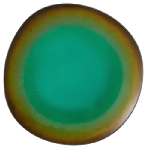 Prato Raso - Karma Amazon - 29cm